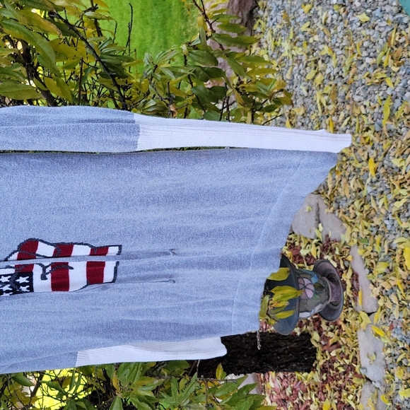 American Peace Fingers Sihn Gray Cashmere Sweater Womens Size Small Hoodie - Picture 3 of 10